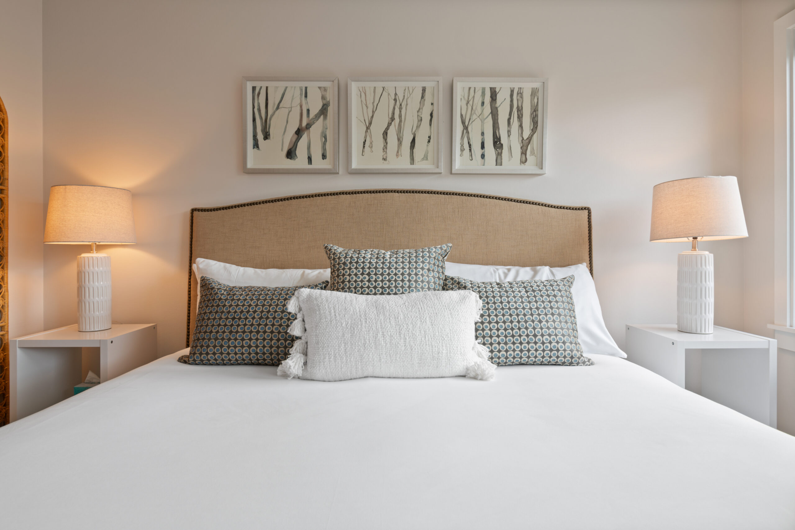 54926923344_684450b44b_o