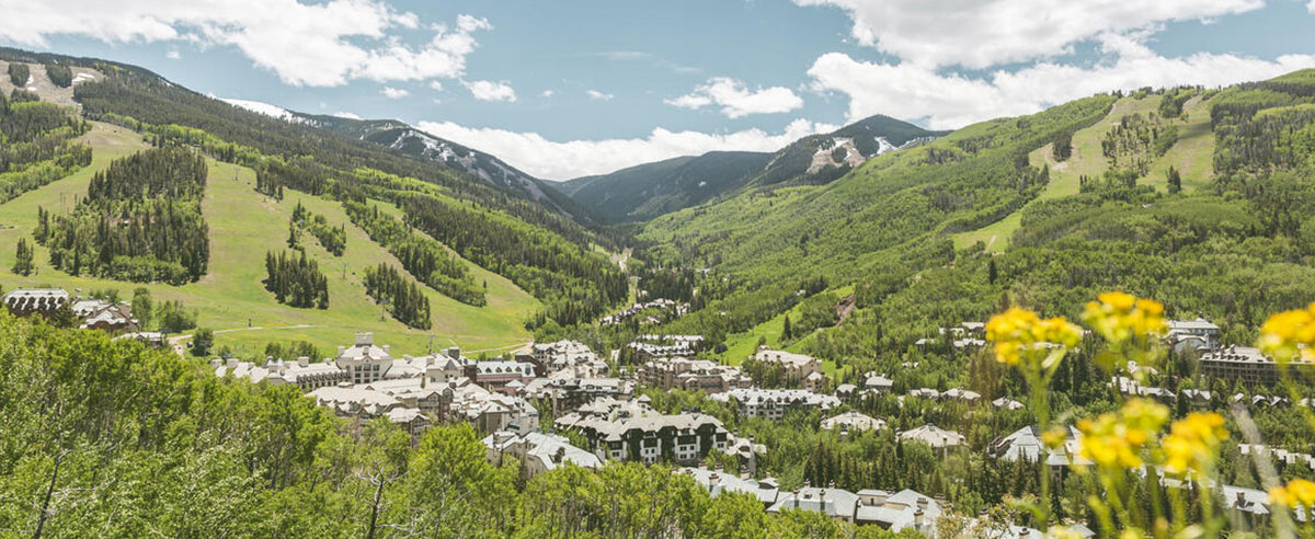 Beaver Creek Summer